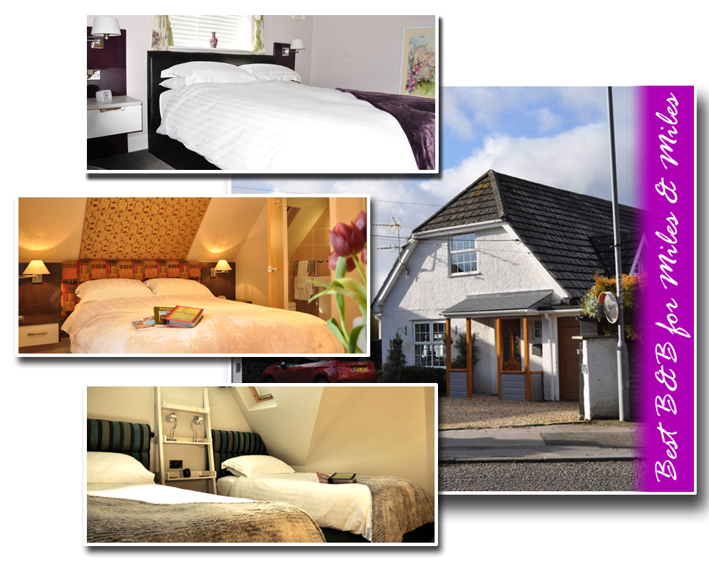 Canford Crossing B&B Wimborne Perfect for business or pleasureCanford
